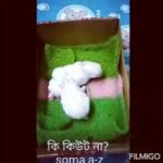 Newborn cute rabbit..at my home