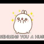 Cute bunny want you hug him