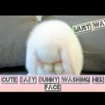 ♡●Cute Baby Bunny washing her Face[The most cutest bunny]●♡Must Watch!!!!