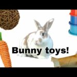 Cute bunnies playing with toys