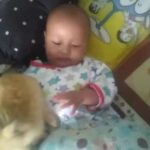 baby and rabbit