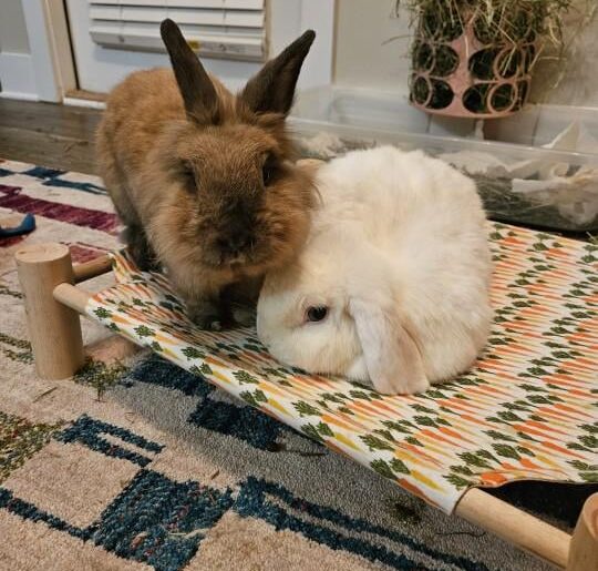 whiteyy doesn't want to share his bed