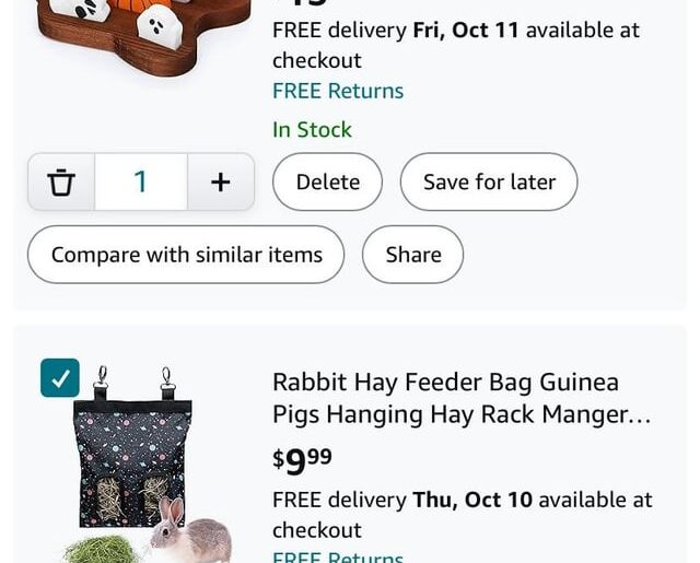 All the stuff i plan to get before getting a bunny, should i get anything else?